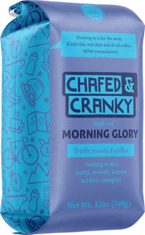 Morning Glory